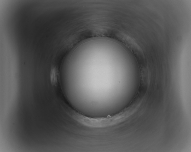 X0000101650038200807171302