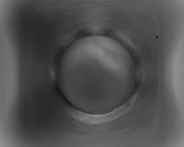 X0000101650039200807171302