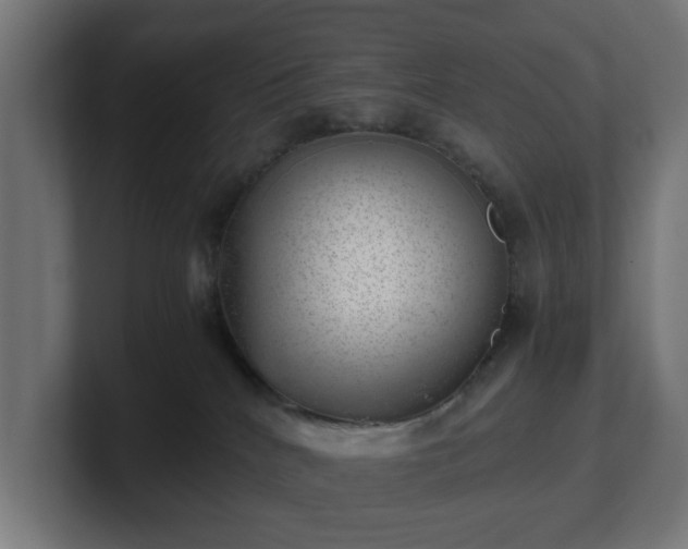 X0000101650040200807171302