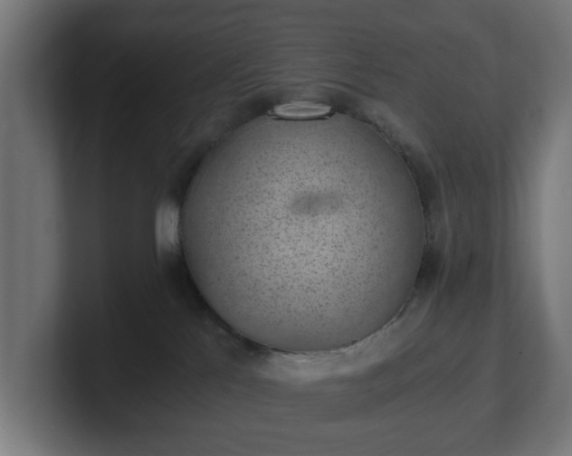 X0000101650041200807171302