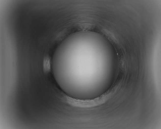 X0000101650042200807171302