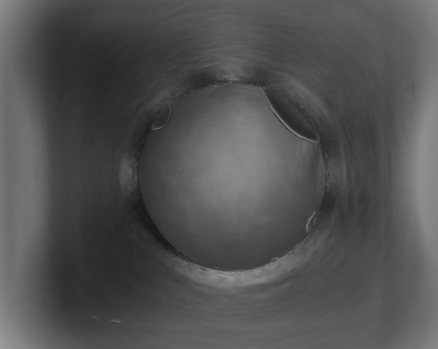 X0000101650043200807171302