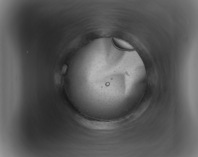 X0000101650044200807171302