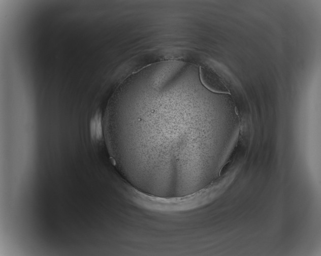 X0000101650046200807171302