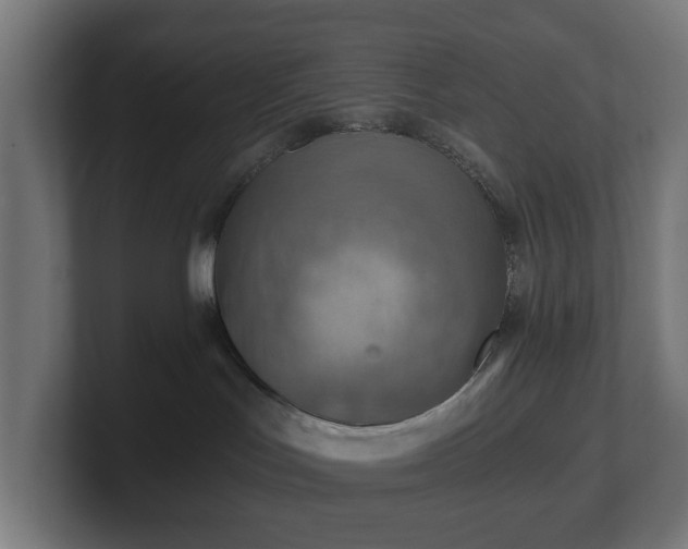 X0000101650047200807171302