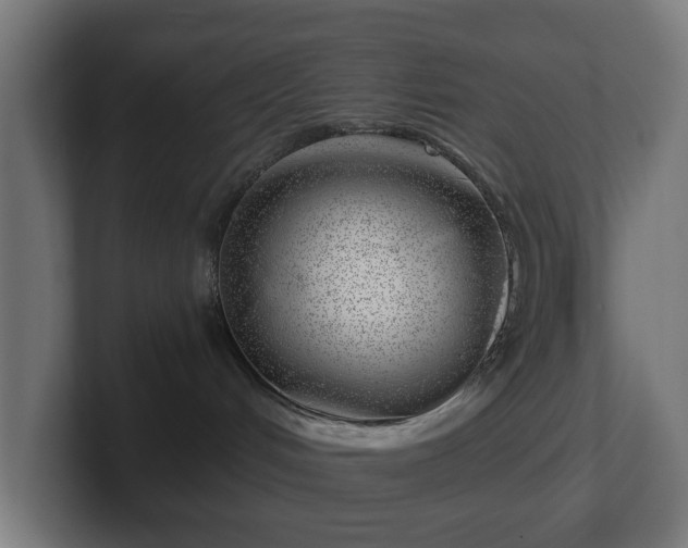 X0000101650048200807171302