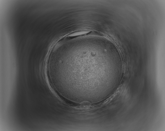 X0000101650049200807171301