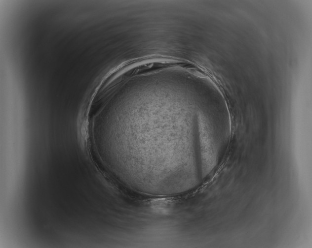 X0000101650050200807171301