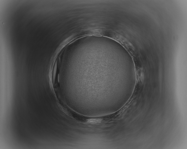 X0000101650051200807171301