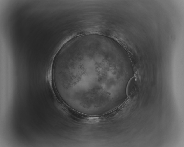 X0000101650052200807171301