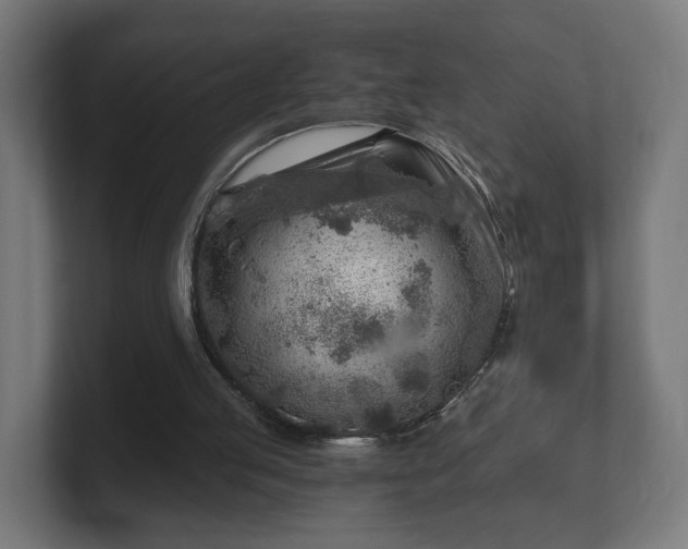 X0000101650053200807171301