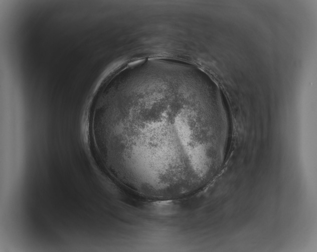 X0000101650054200807171301