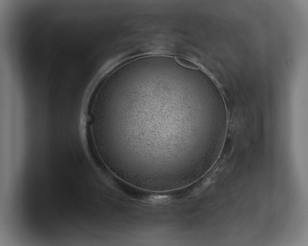 X0000101650055200807171301