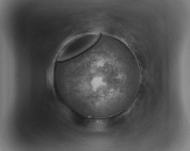 X0000101650056200807171301