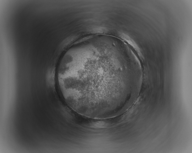 X0000101650058200807171302