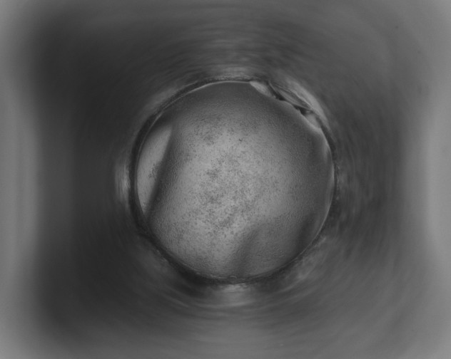 X0000101650059200807171302