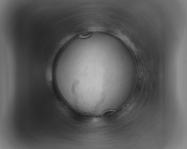 X0000101650060200807171302