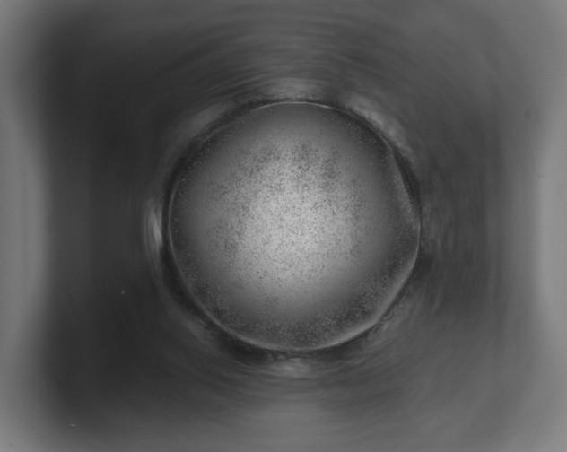 X0000101650062200807171302