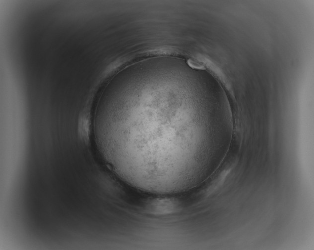 X0000101650063200807171302