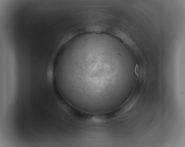 X0000101650064200807171302