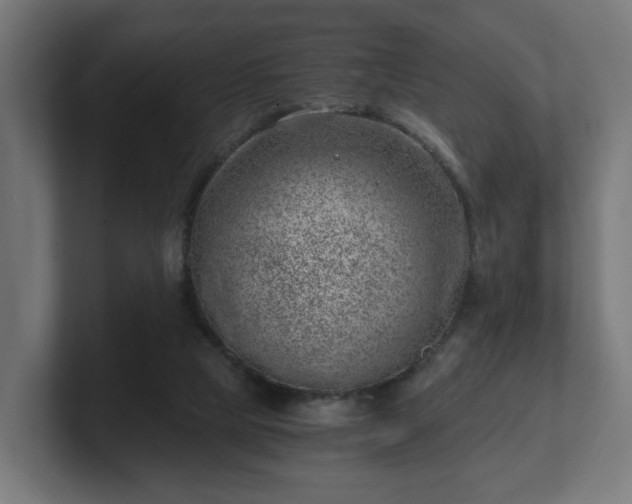 X0000101650065200807171302