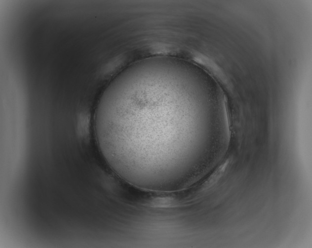 X0000101650066200807171302