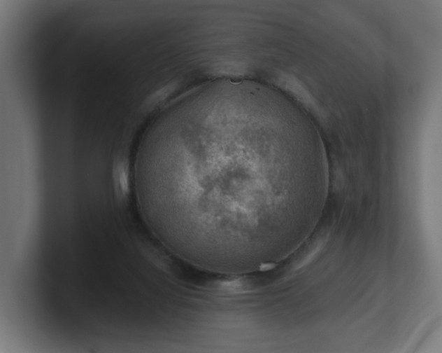 X0000101650068200807171302