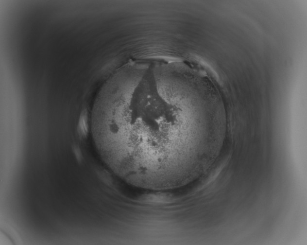 X0000101650069200807171302