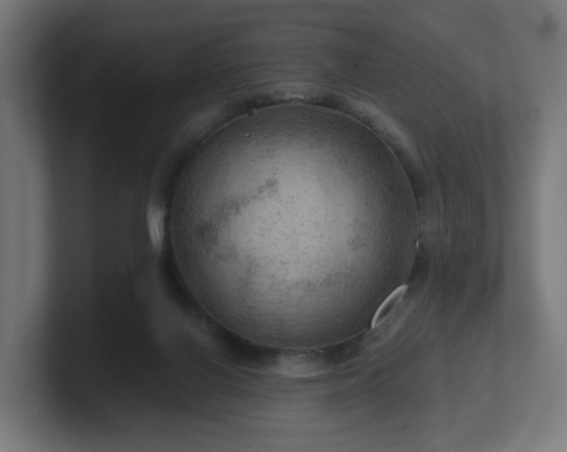 X0000101650070200807171302