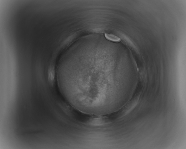 X0000101650072200807171302