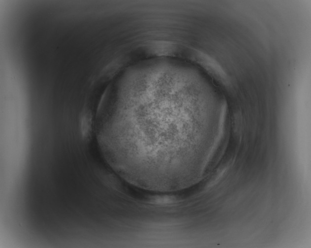 X0000101650073200807171302