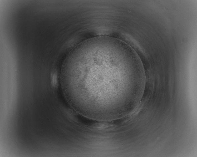 X0000101650074200807171302