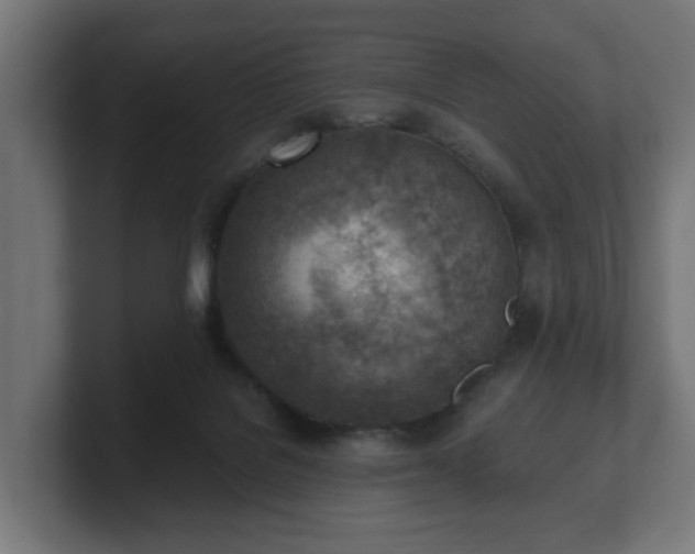 X0000101650076200807171302