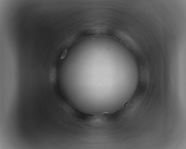 X0000101650077200807171302