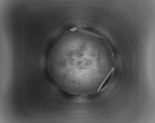 X0000101650078200807171302