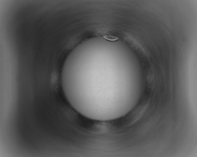 X0000101650079200807171302