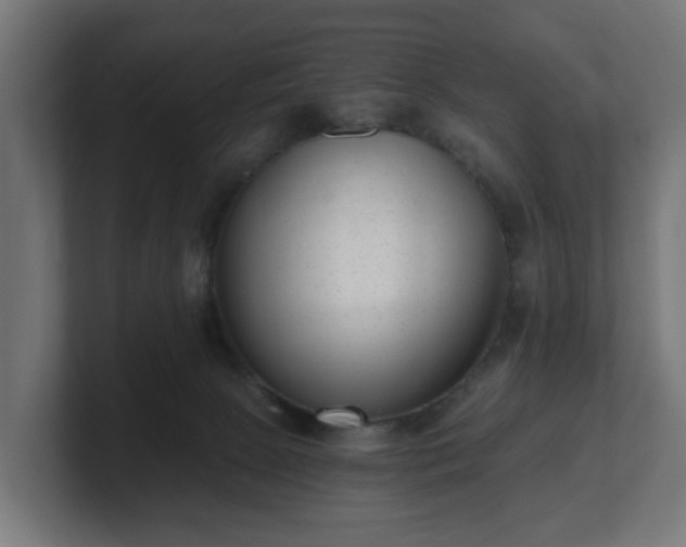 X0000101650081200807171302