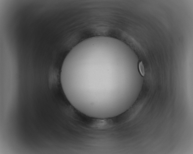 X0000101650083200807171302