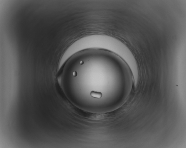 X0000101650084200807171302