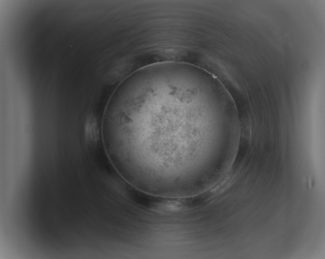 X0000101650086200807171302