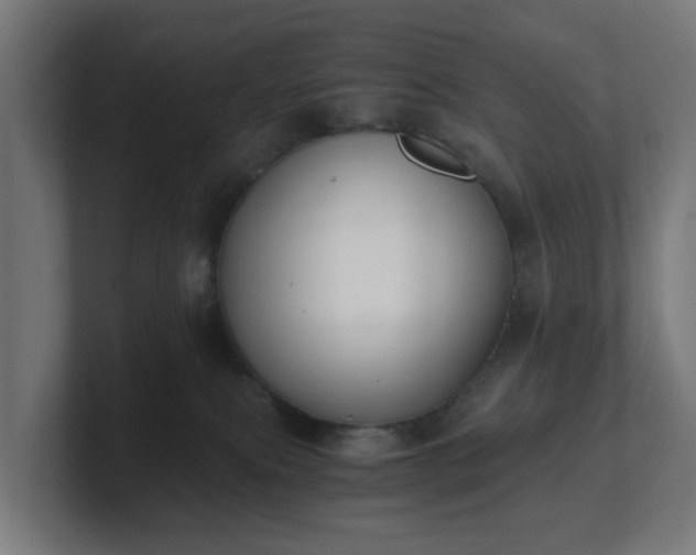 X0000101650087200807171302