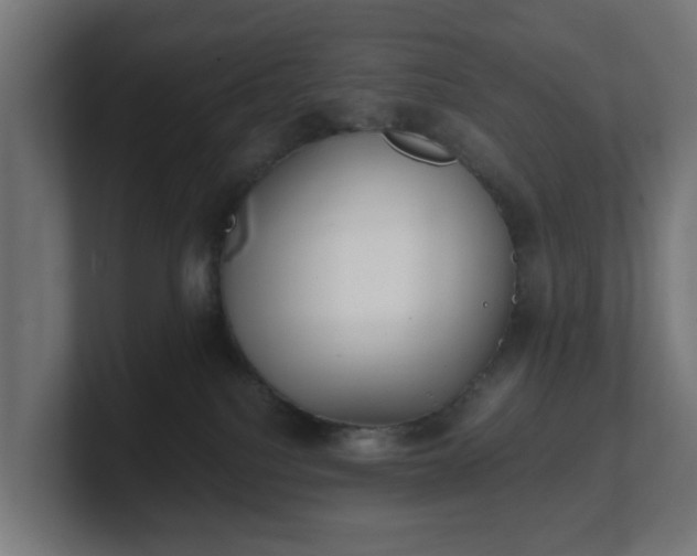 X0000101650088200807171302