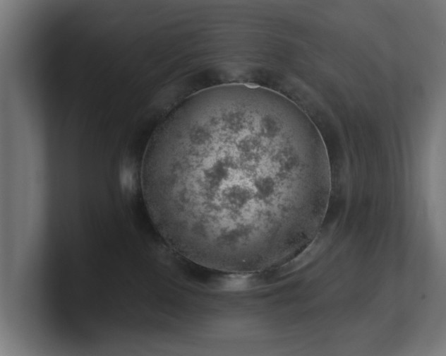 X0000101650090200807171302