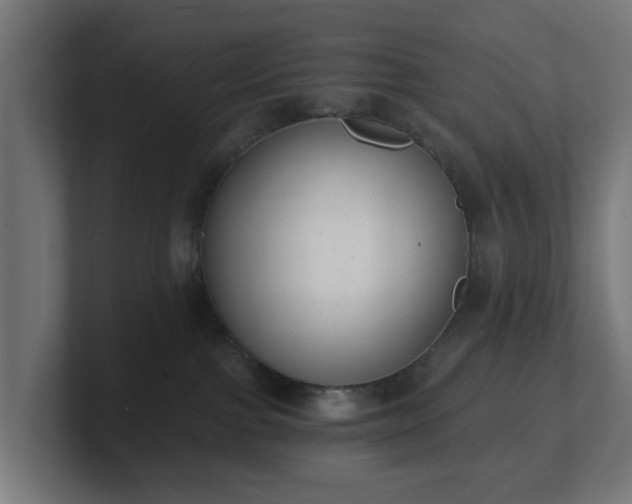 X0000101650091200807171302