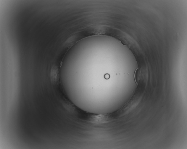 X0000101650092200807171302