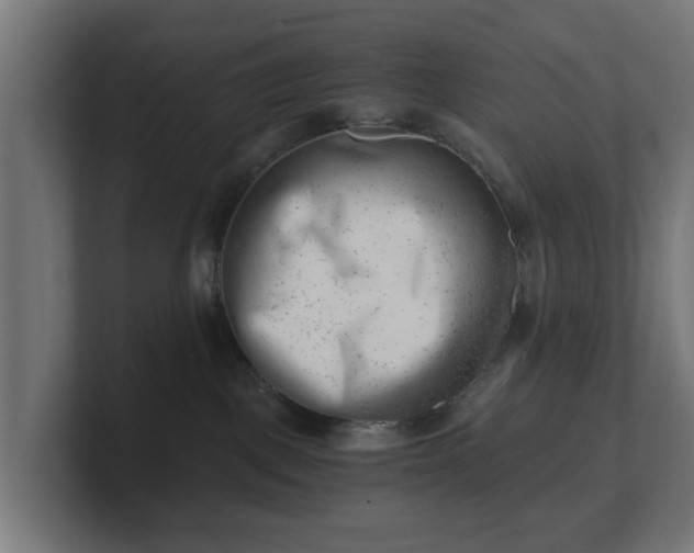 X0000101650093200807171302