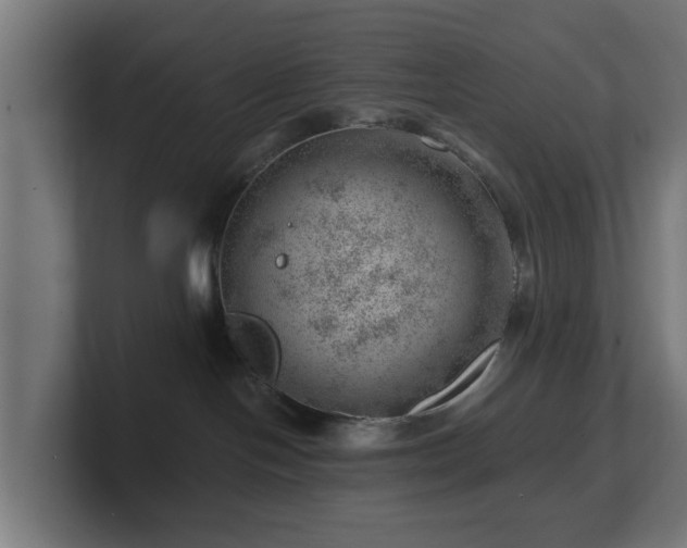 X0000101650094200807171302