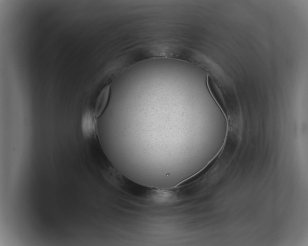 X0000101650095200807171302