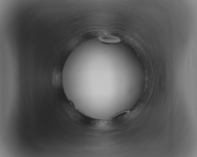 X0000101650096200807171302