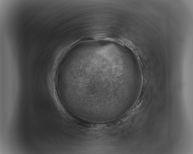 X0000101650097200807171301